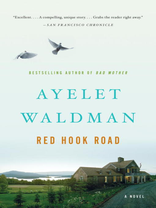 Cover image for Red Hook Road